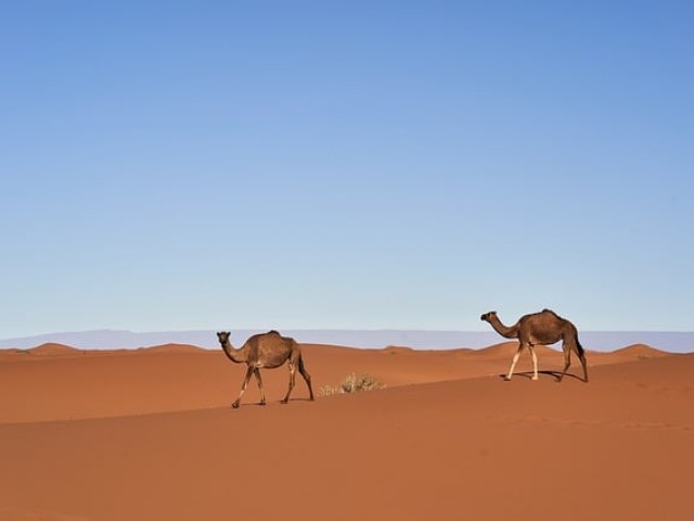 免费mbti测试