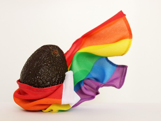 lgbtq是什么