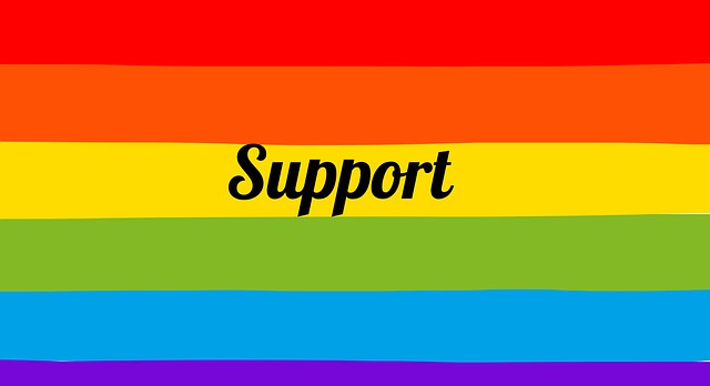 lgbtq的q指什么